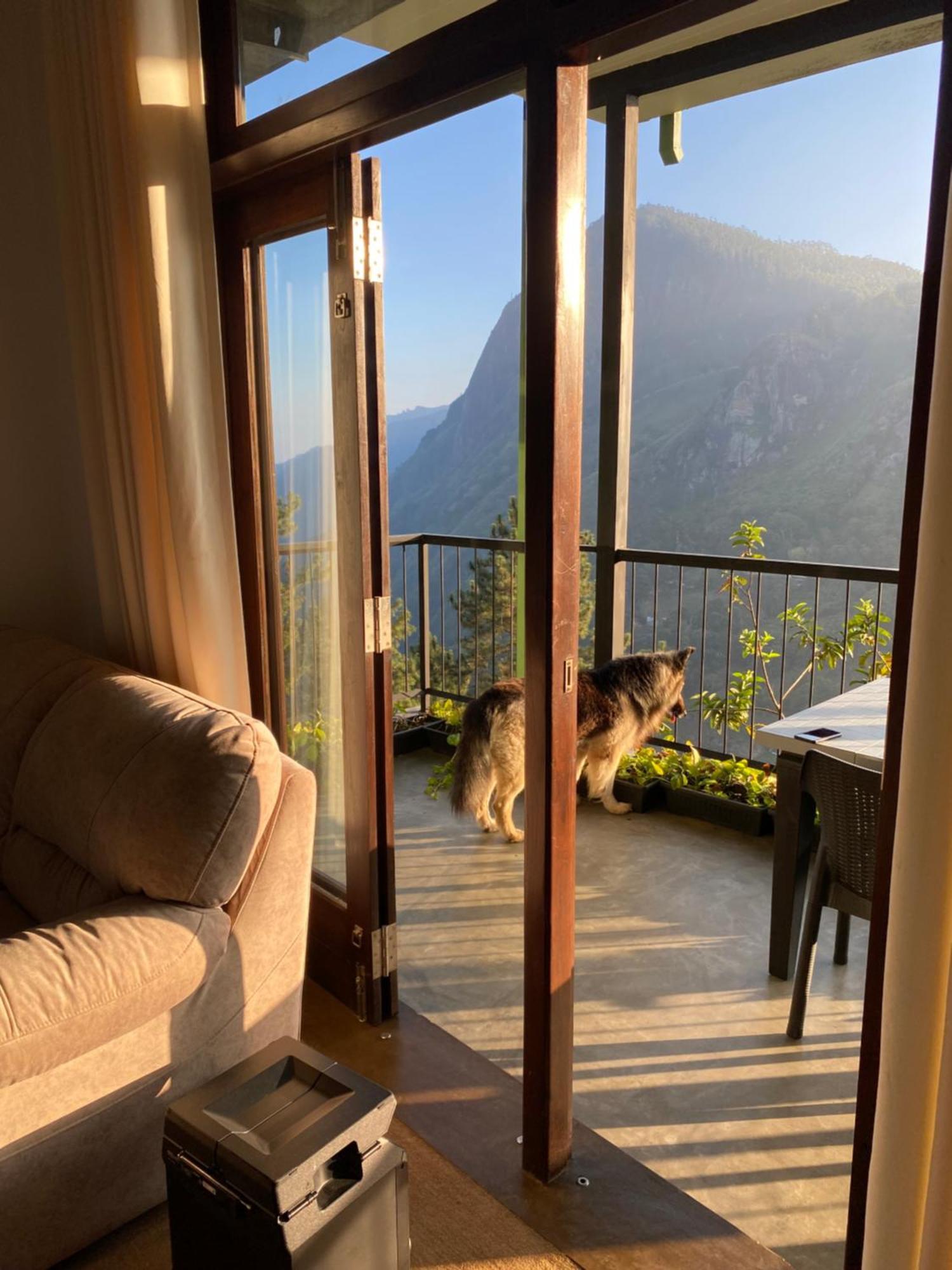 Star Gaze Lodge Ella Kültér fotó